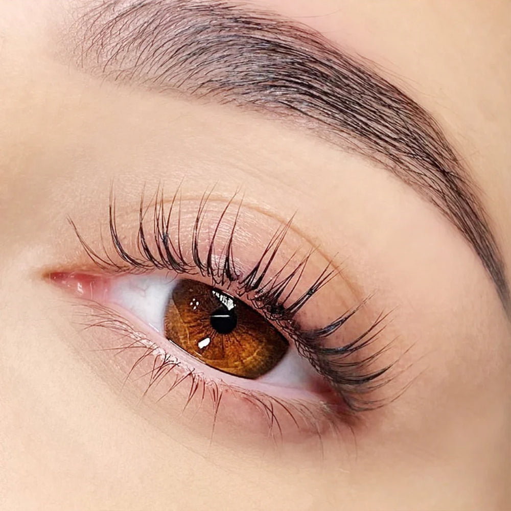 DLUX Pro Lash Lift Silicone Shields - 8 styles 3